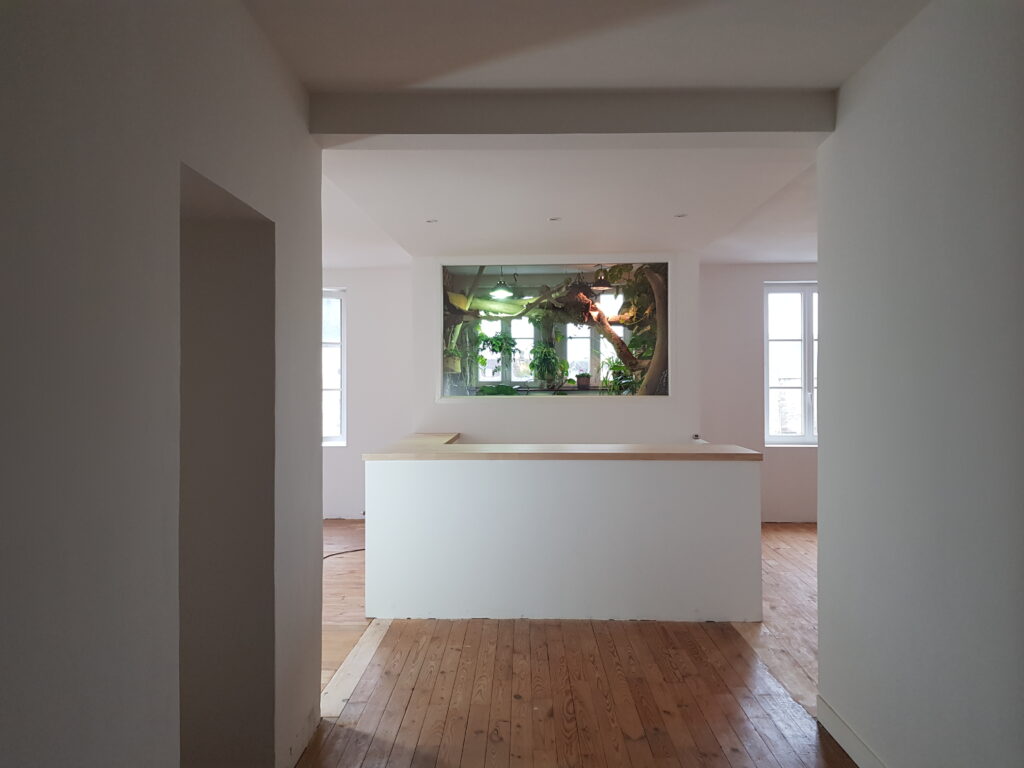 Aménagement intérieur avec comptoir sur-mesure